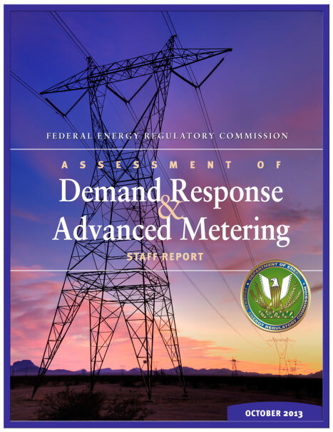 Assessment of Demand Response and Advanced Metering