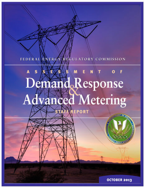 Assessment of Demand Response and Advanced Metering